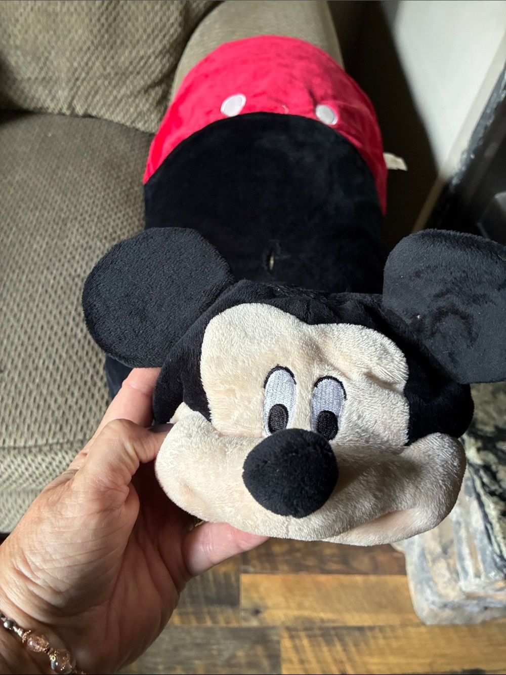 Disney Mickey Mouse Halloween dog costume